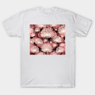 Dandelions (pink and black) T-Shirt